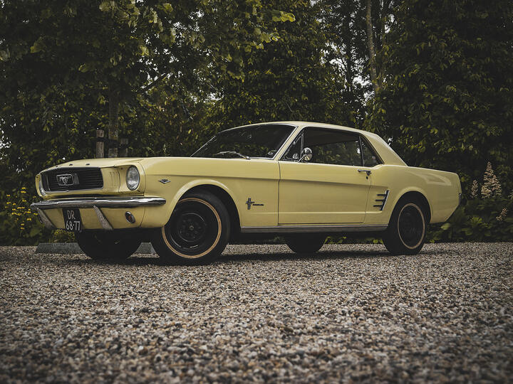 Old Timers, foto 16