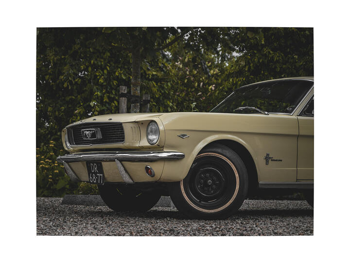 Old Timers, foto 15