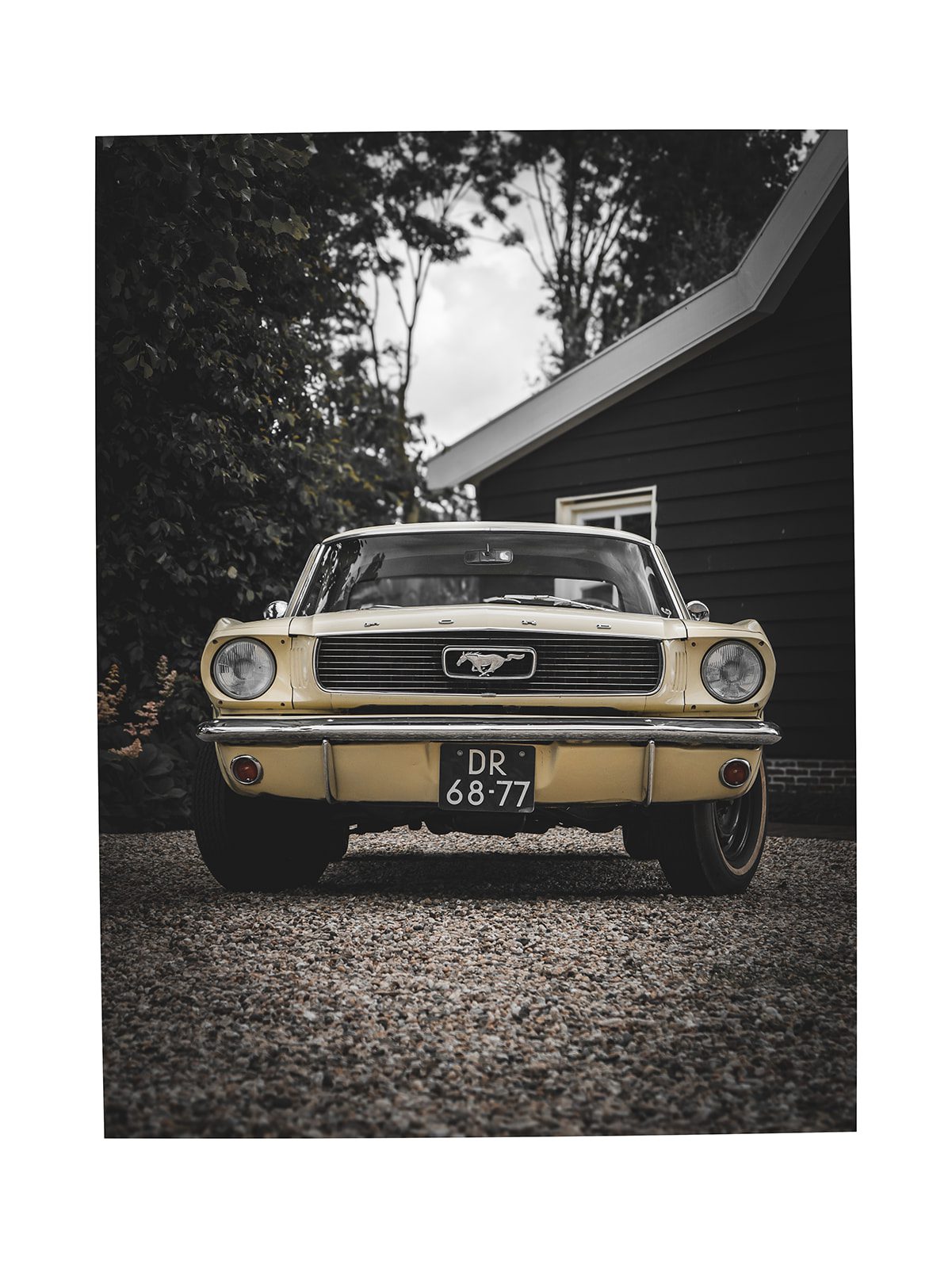 Old Timers